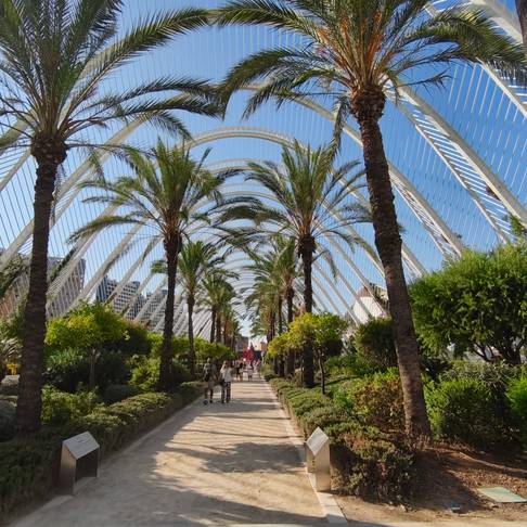 Fotografie Valencia září 2025-8